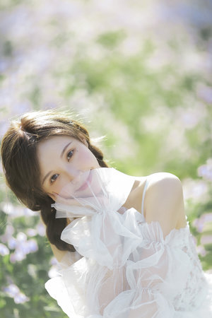 他跨越山海而来电视剧